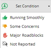 condition.jpg