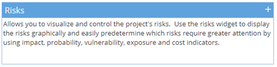 risks_widget.png